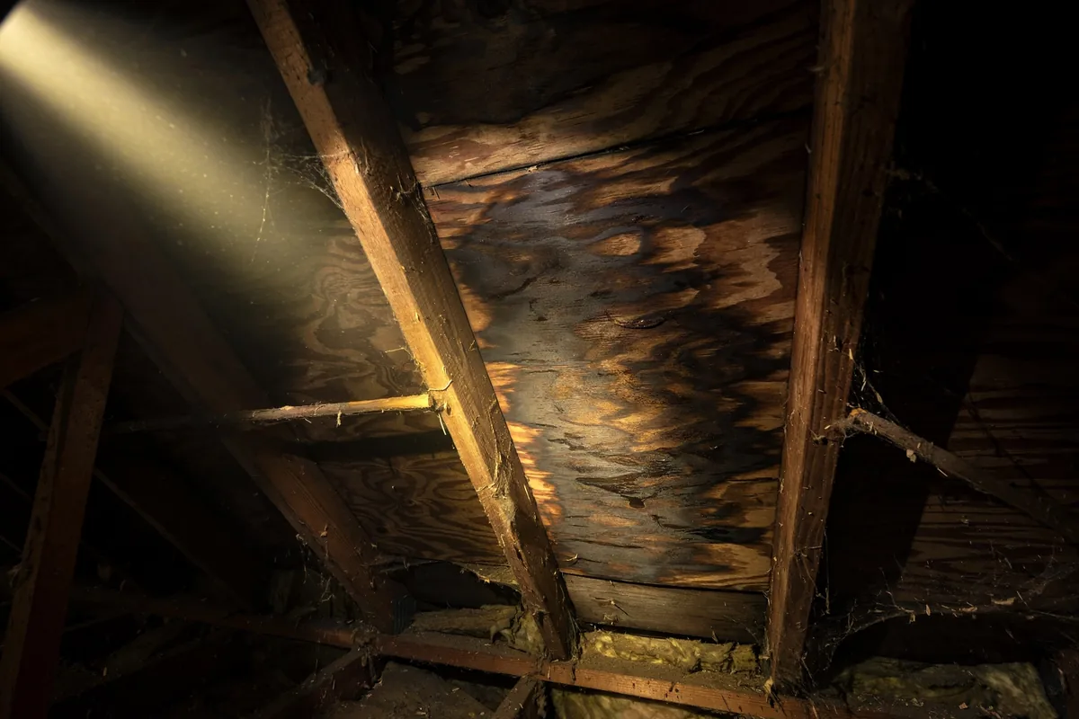 Attic Inspection: 7 Moisture Signs That Mean Roof Trouble — Channelview, TX